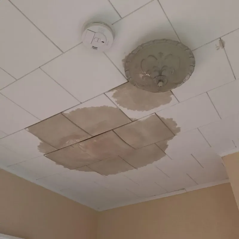 Ceiling Water Damage Repair in De Smet, SD