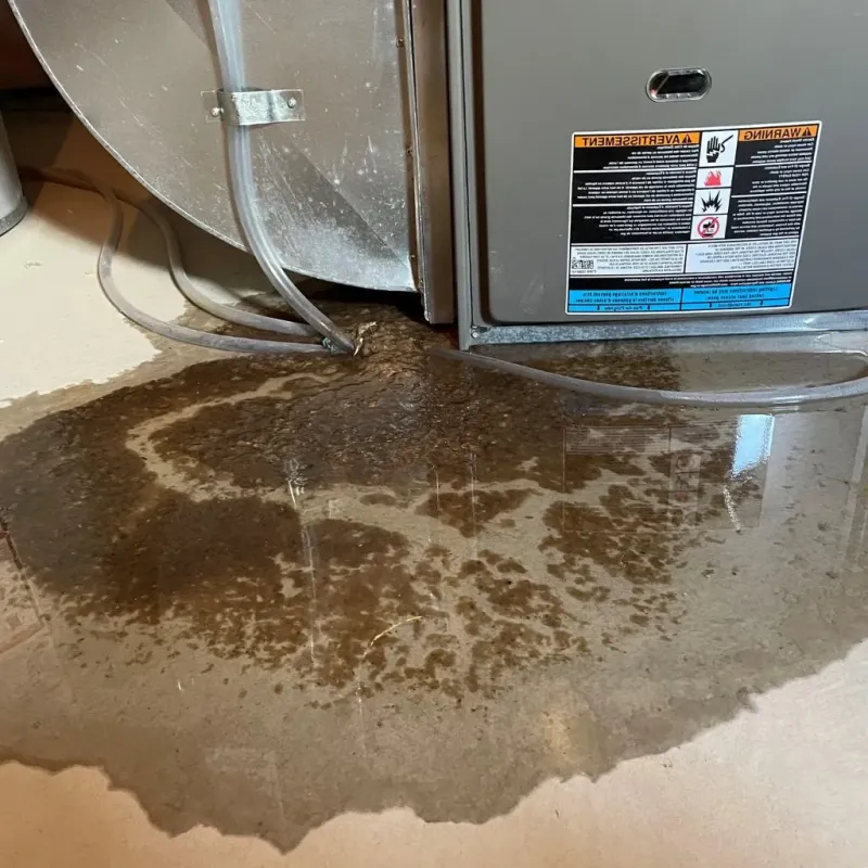 Pipe Burst and Leak Restoration in De Smet, SD