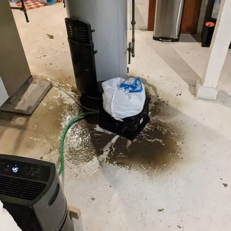 Sewage Backup Cleanup Service in De Smet, SD